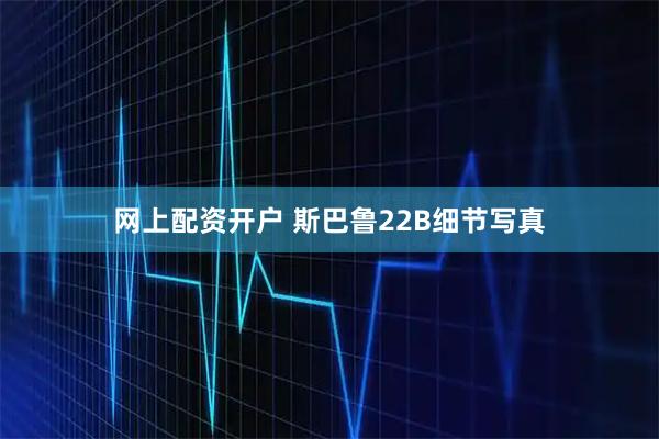 网上配资开户 斯巴鲁22B细节写真